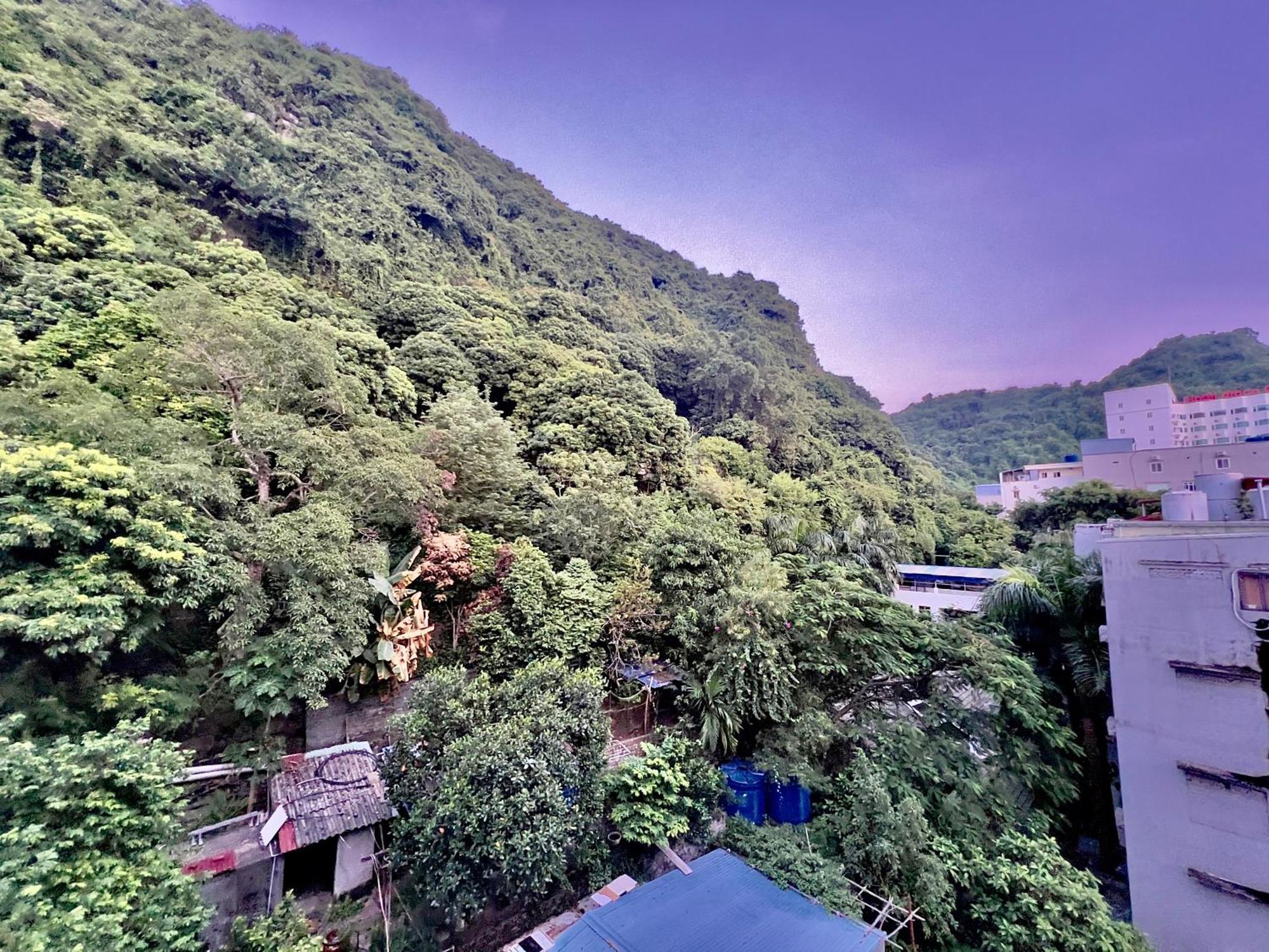 Manh Vuong Hotel Catba Dong Khe Sau Exterior photo